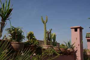 Terrasse riad